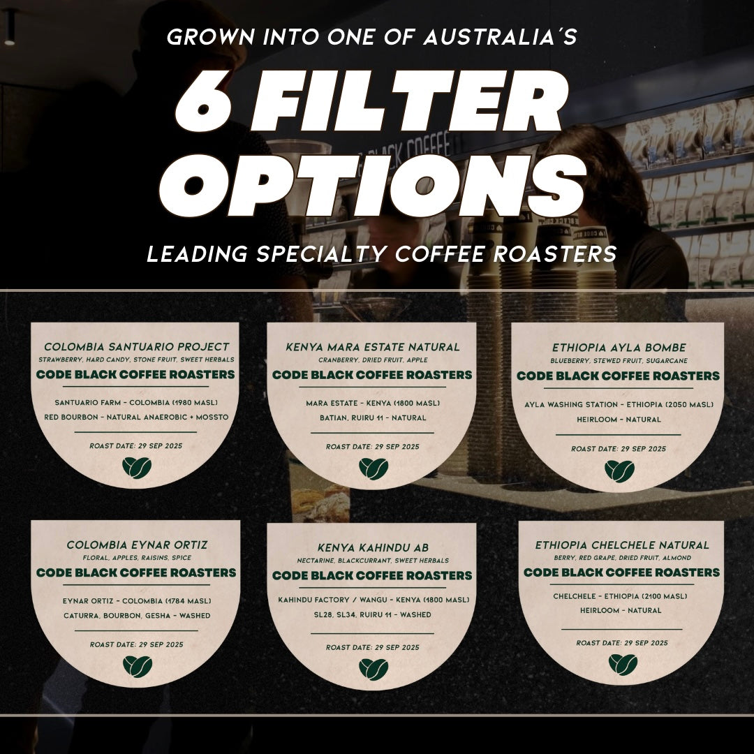 Filter Discovery Box (Original) - 6 Coffees