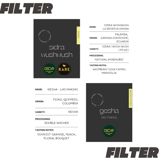 Filter Discovery Box - 6 Coffees