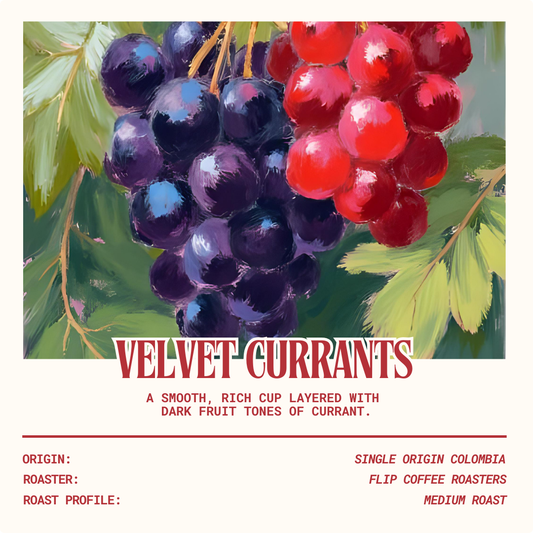 Velvet Currants (3pc/6pc Box)