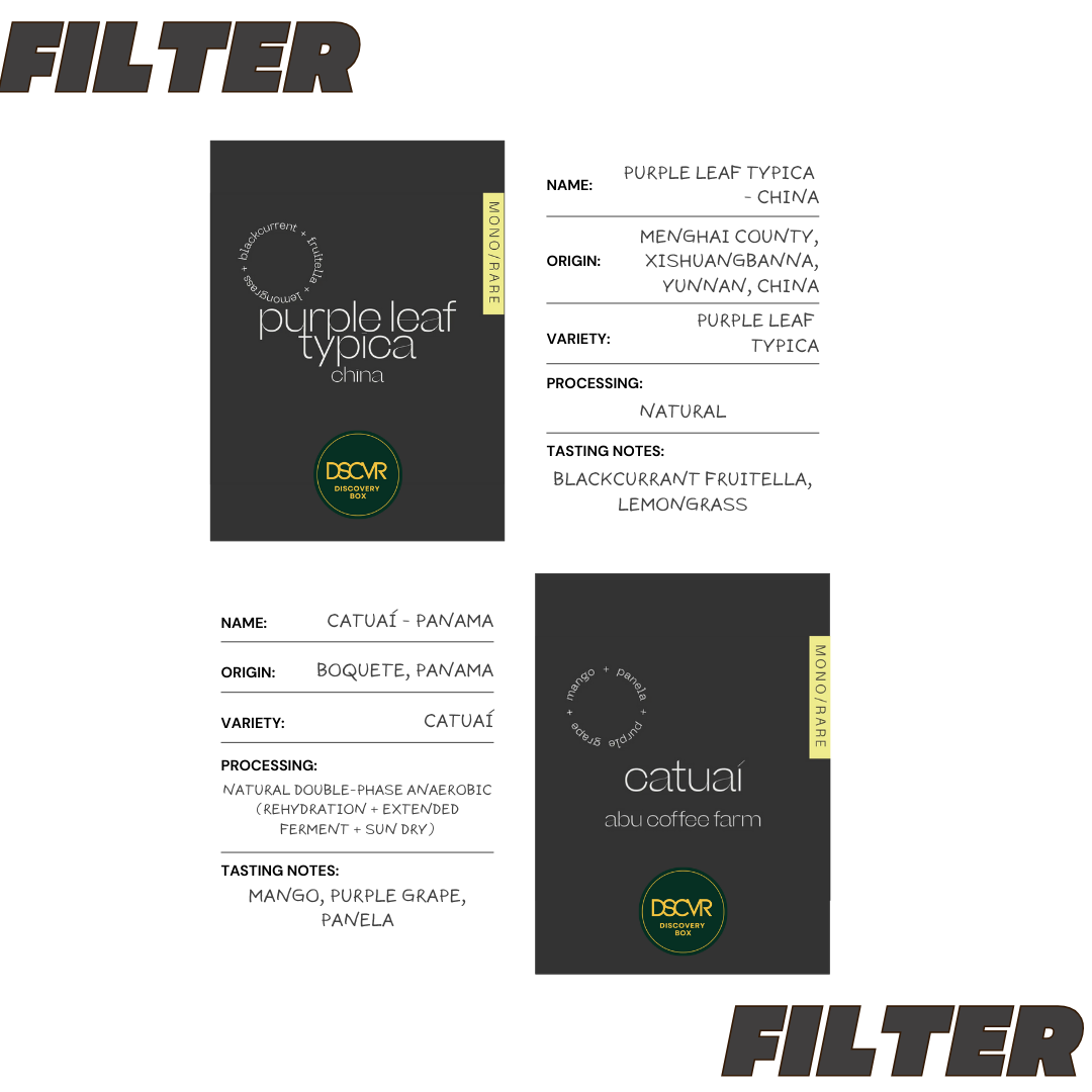 Filter Discovery Box - 6 Coffees