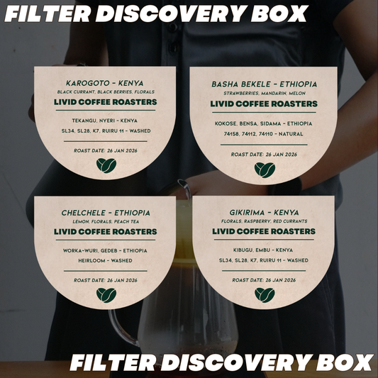 Filter Discovery Box - 4 Coffees