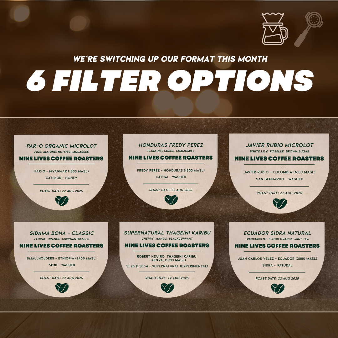 Filter Discovery Box (Original) - 6 Coffees