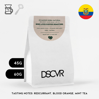 Filter Discovery Box (Original) - 6 Coffees
