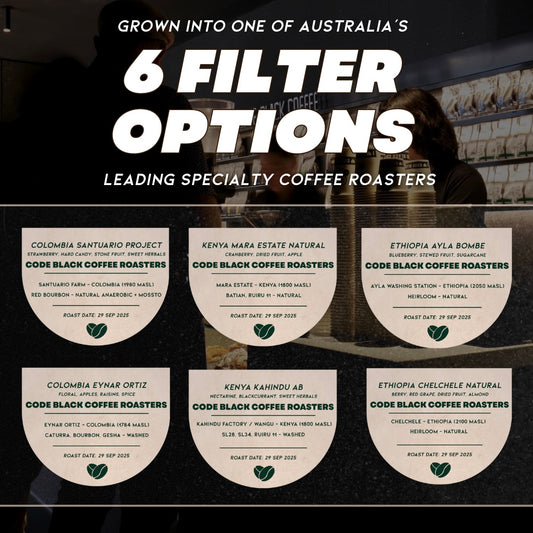 Filter Discovery Box (Original) - 6 Coffees