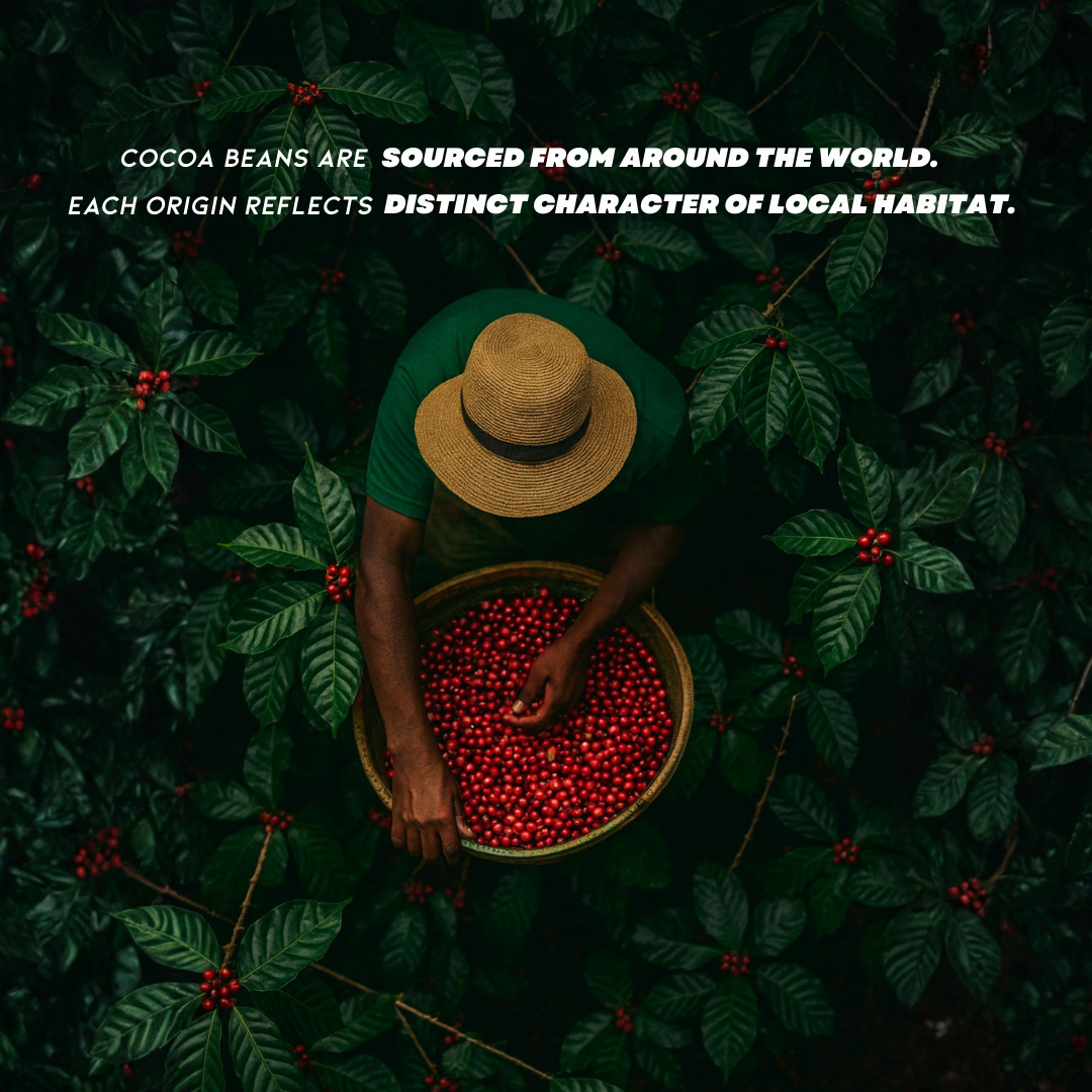 Kokoa Collection | Venezuela - Smooth 58%