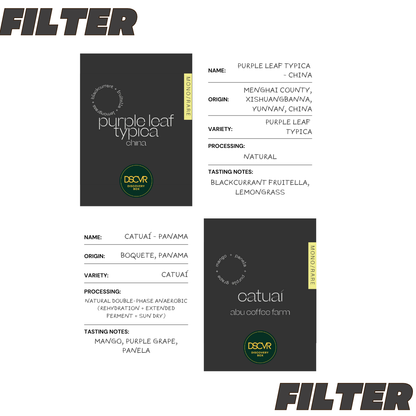 Filter Discovery Box - 6 Coffees