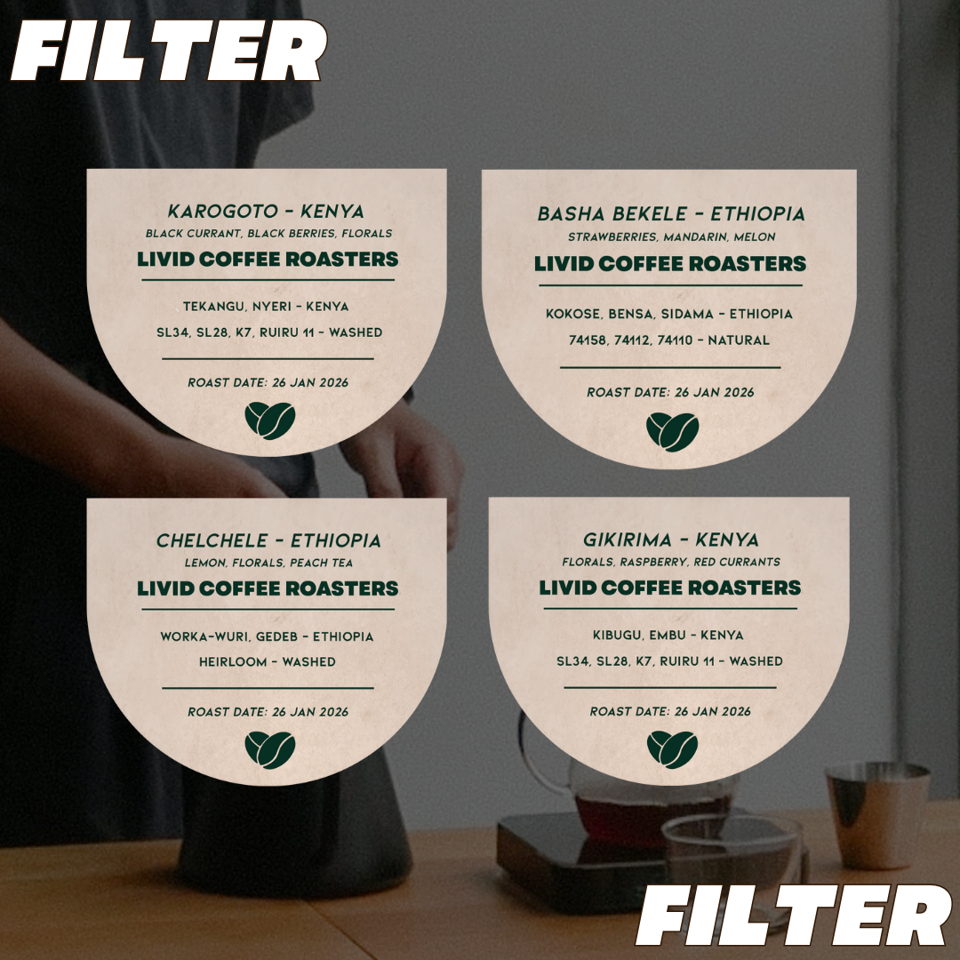 Filter Beans - 4 Options (60g) / 1 Premium Option (50g)