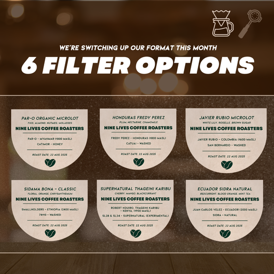 Filter Discovery Box (Original) - 6 Coffees